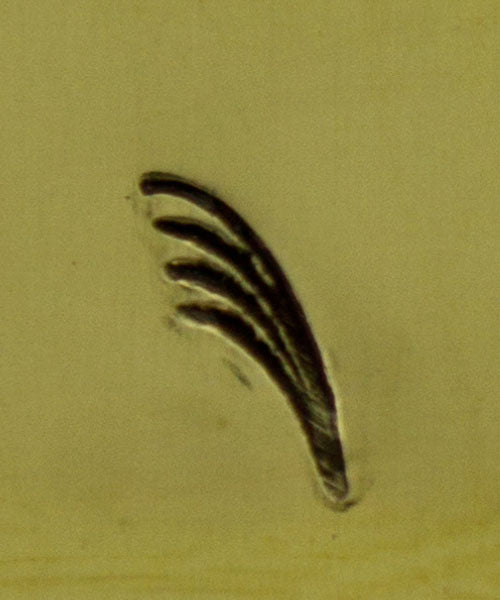 PN5043 = SOUTHWEST DESIGN STAMP - left facing curved lines