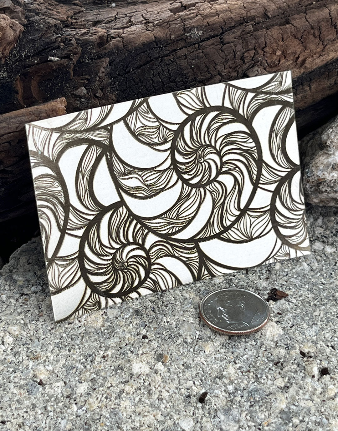 XLP0047 = Nautilus Laser Engraved Metal Sheet 3x2" = Textured Jewelry Blank = Copper, Brass & More