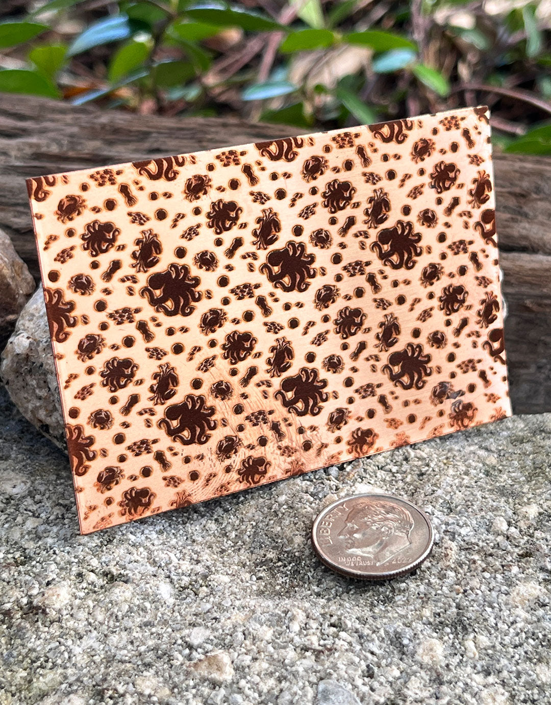 XLP0114 = Ocean Life Laser Engraved Metal Sheet 3x2" = Textured Jewelry Blank = Copper, Brass & More