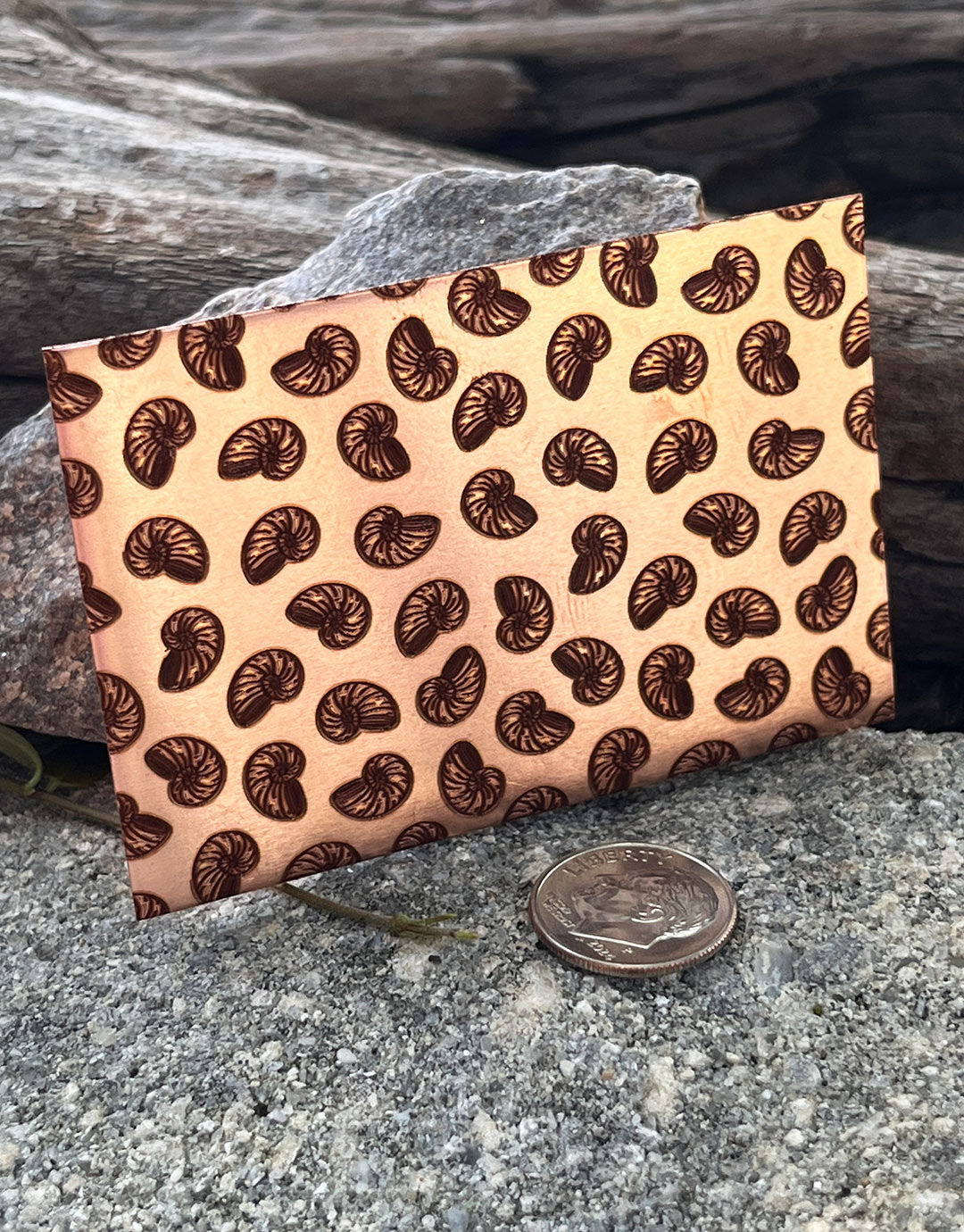 XLP0128 = Little Nautilus Laser Engraved Metal Sheet 3x2" = Textured Jewelry Blank = Copper, Brass & More
