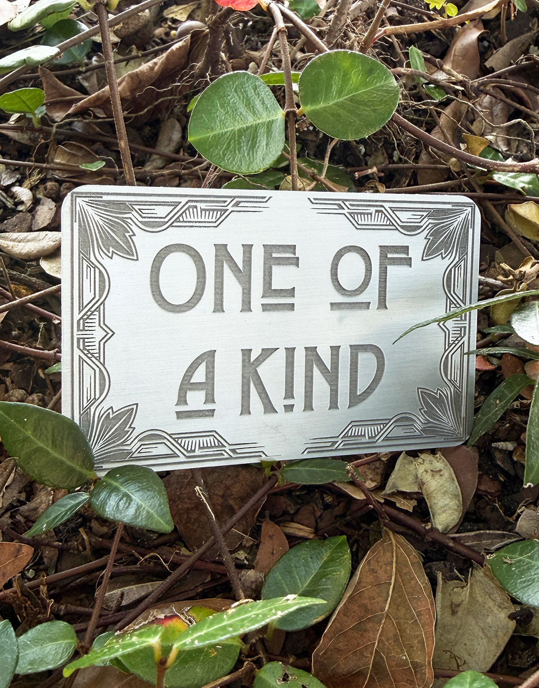 DSI10XX = Laser Engraved Art Deco Aluminum Signs **Choose Message**