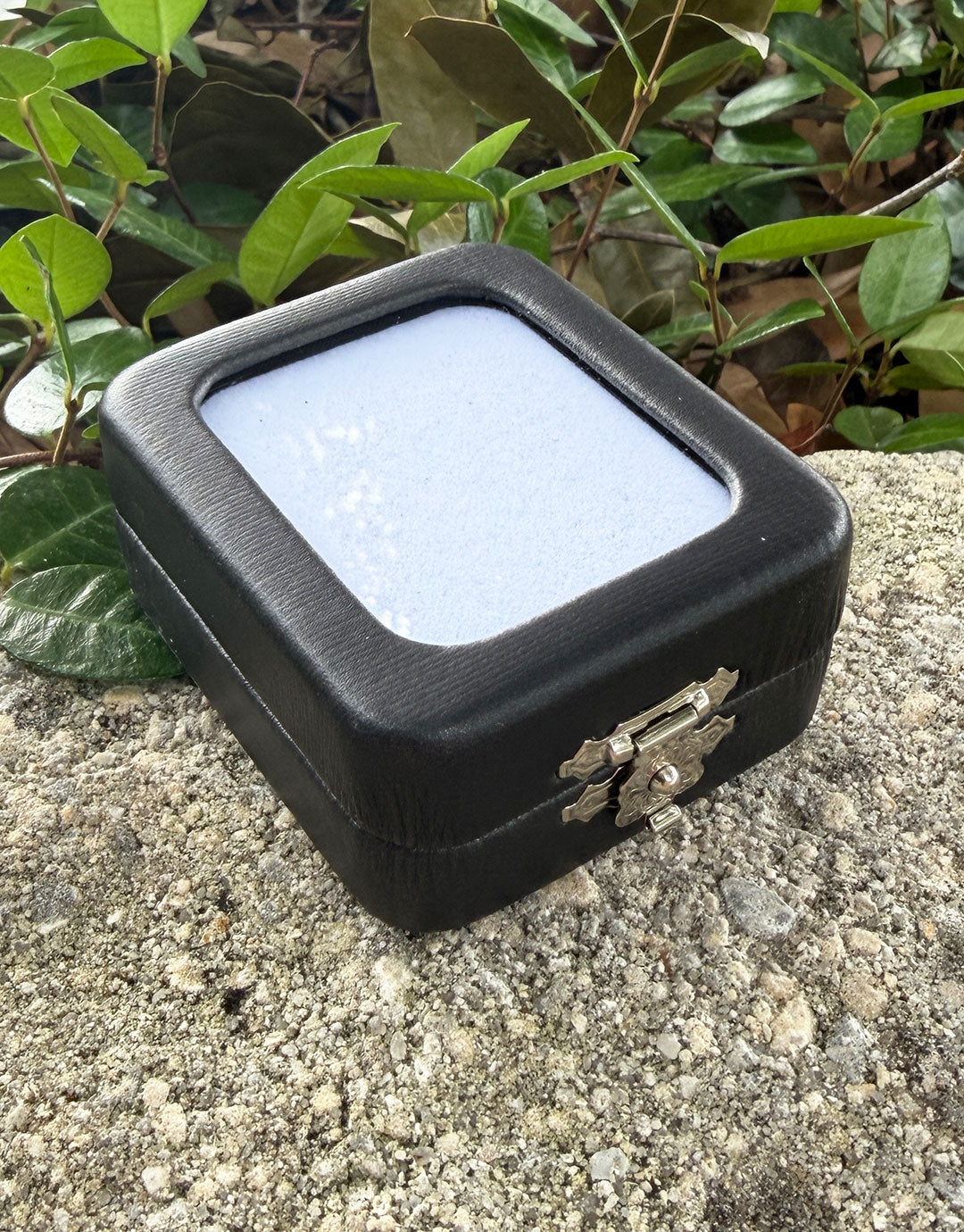 DST1009 = Glass Top Gem Box with Clasp
