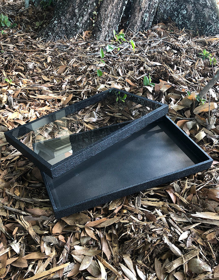DTR1450 = Jewelry Tray with a Lift Off See Through Lid 1'' Deep