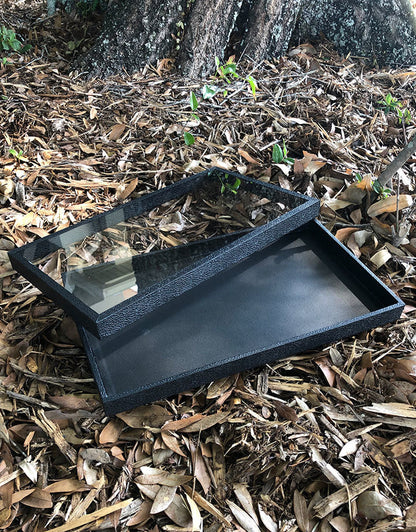 DTR1450 = Jewelry Tray with a Lift Off See Through Lid 1'' Deep