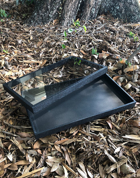 DTR1450 = Jewelry Tray with a Lift Off See Through Lid 1'' Deep