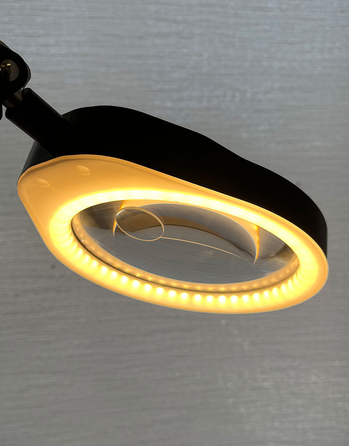 LM2750 = LED Lamp with 8X Magnifier
