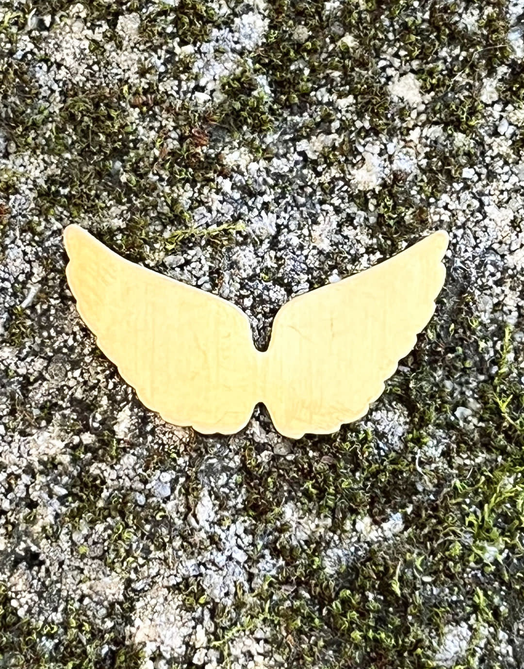 MSBR59324 = BRASS SHAPE - ANGEL WINGS  24ga (Pkg of 6)