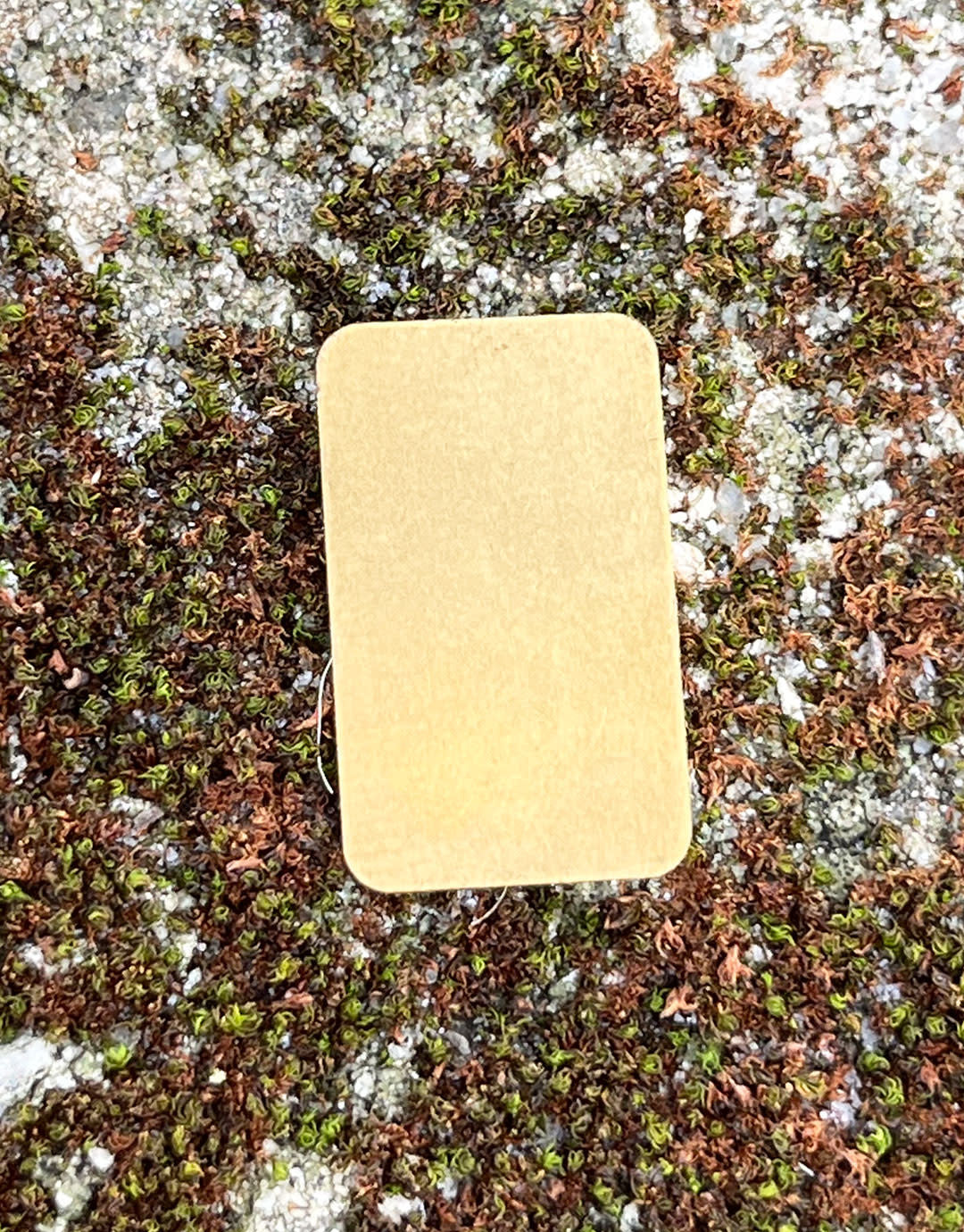 MSBR72624 = Brass Shape - Rectangle 14 x 23mm (Pkg of 6)