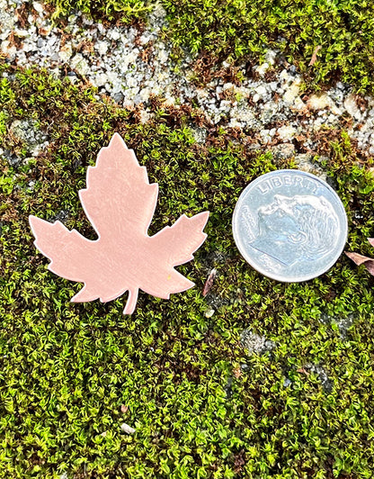 MSC55224 = COPPER SHAPE - LEAF MAPLE  24ga 29mm x 28mm (Pkg of 6)