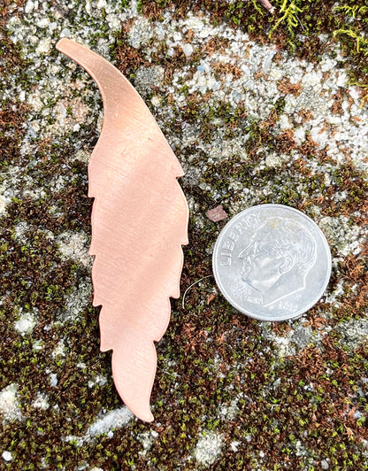 MSC57124 = COPPER SHAPE - FEATHER  24ga 2-5/16''  (Pkg of 6)