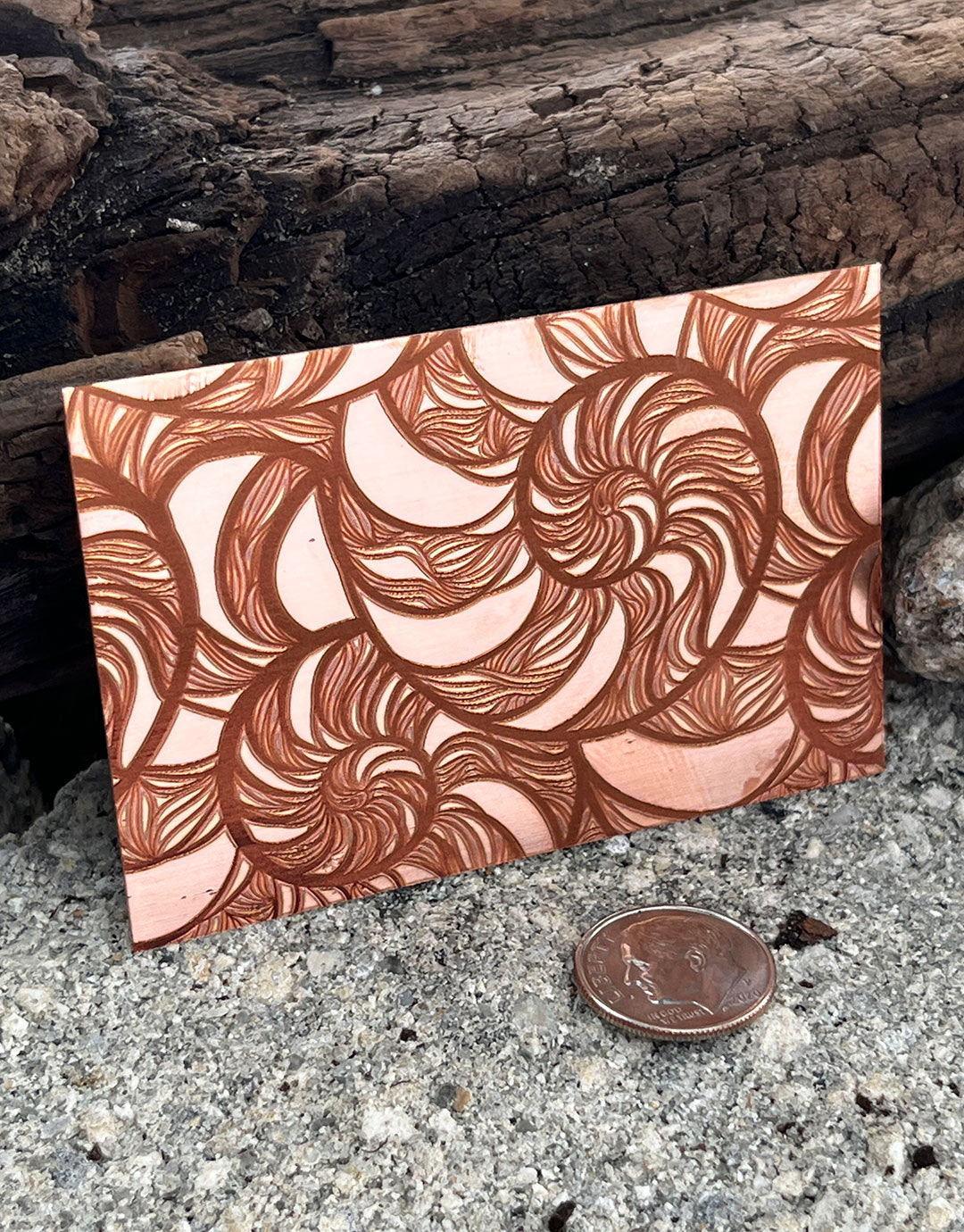 XLP0047 = Nautilus Laser Engraved Metal Sheet 3x2" = Textured Jewelry Blank = Copper, Brass & More