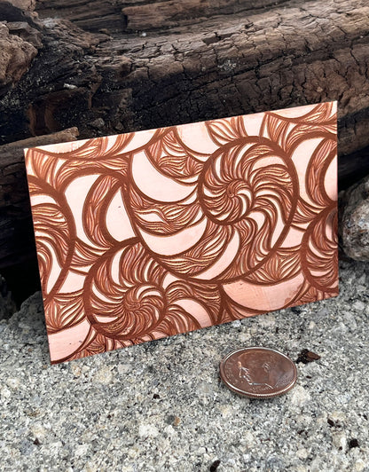 XLP0047 = Nautilus Laser Engraved Metal Sheet 3x2" = Textured Jewelry Blank = Copper, Brass & More