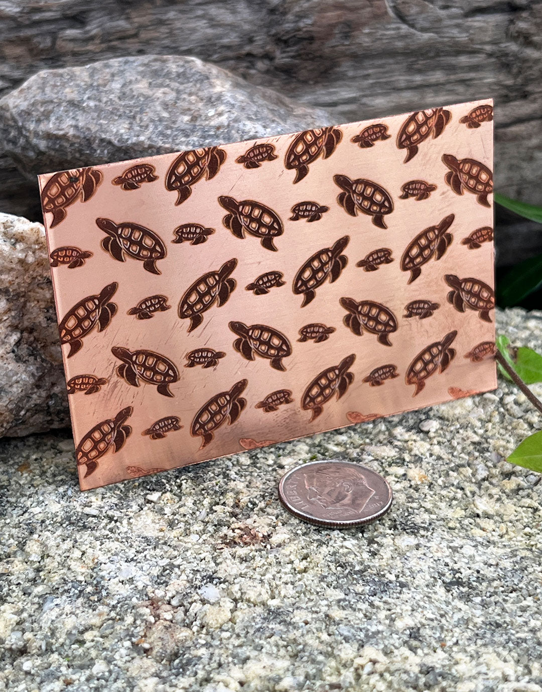 XLP0113 = Turtles Laser Engraved Metal Sheet 3x2" = Textured Jewelry Blank = Copper, Brass & More