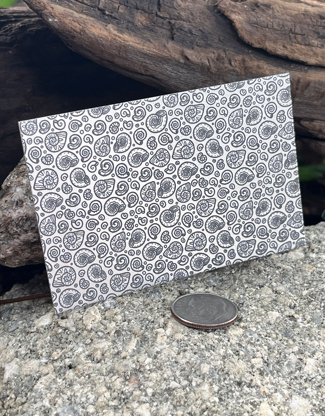 XLP0127 = Snail Shells Laser Engraved Metal Sheet 3x2" = Textured Jewelry Blank = Copper, Brass & More