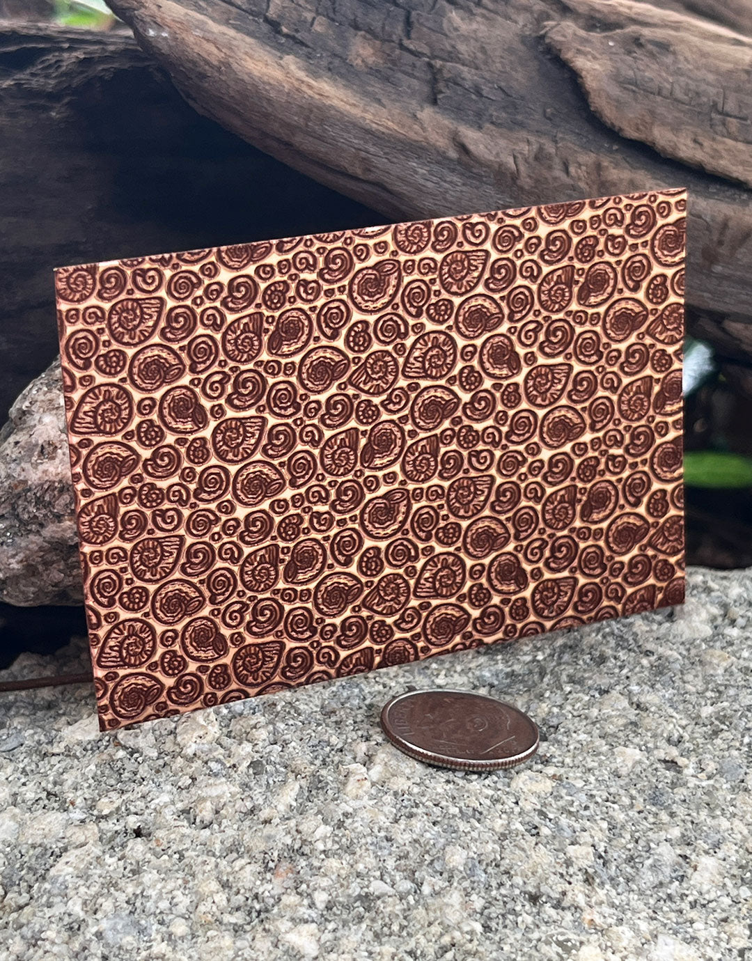 XLP0127 = Snail Shells Laser Engraved Metal Sheet 3x2" = Textured Jewelry Blank = Copper, Brass & More