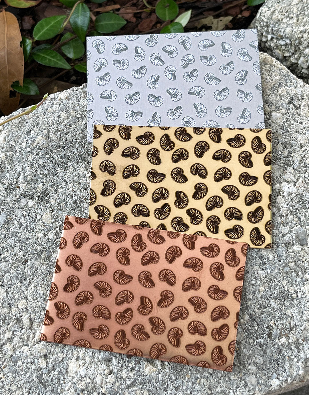 XLP0128 = Little Nautilus Laser Engraved Metal Sheet 3x2" = Textured Jewelry Blank = Copper, Brass & More