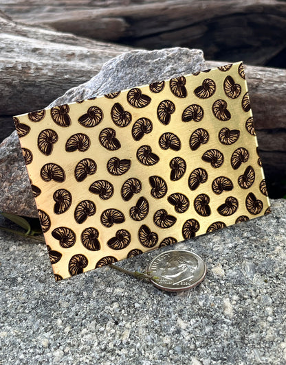 XLP0128 = Little Nautilus Laser Engraved Metal Sheet 3x2" = Textured Jewelry Blank = Copper, Brass & More